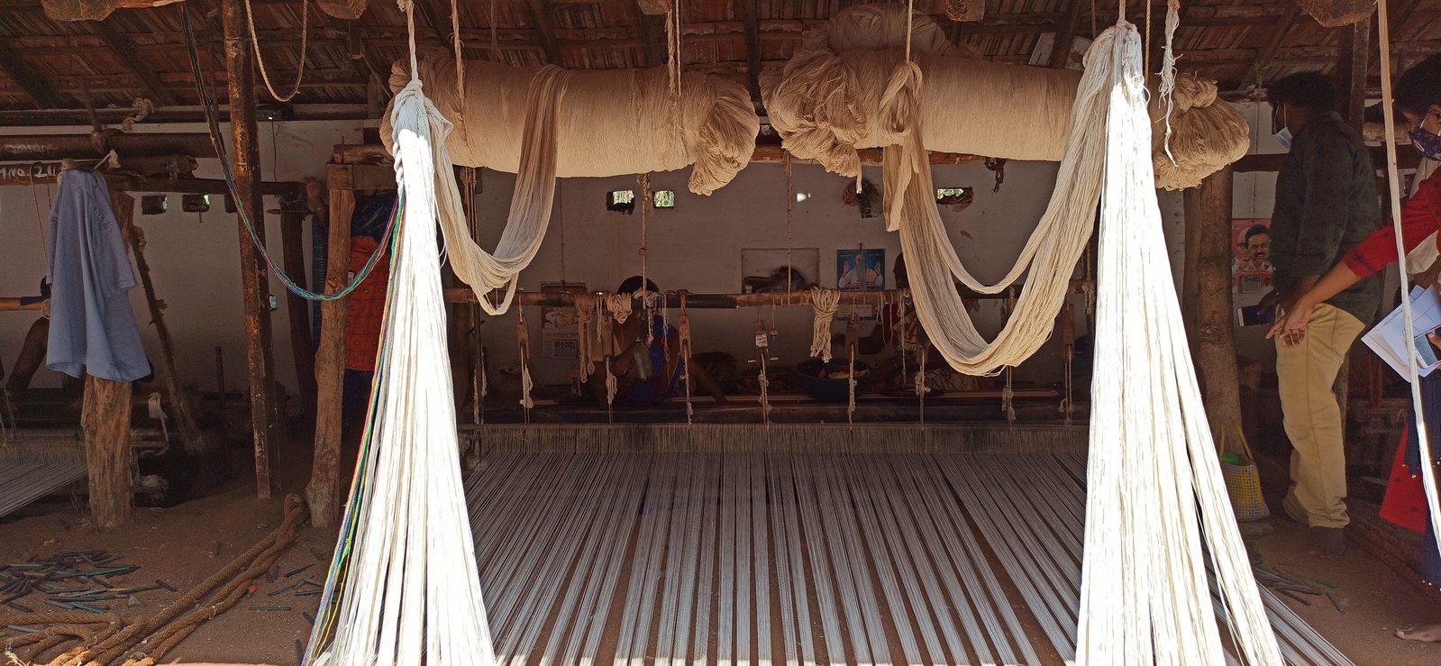 8 feet wide Jamakkalam loom warp